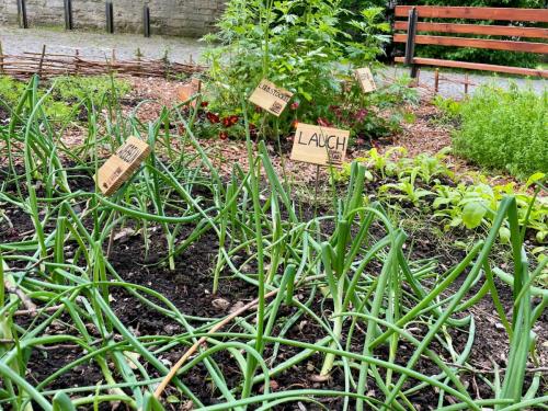 Bauerngarten Essbare Stadt e. V. Kristanplatz
