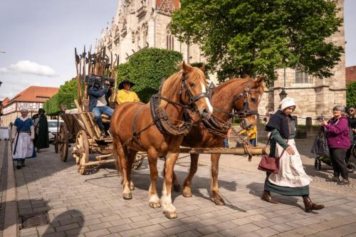 Bauernzug zum Leben erweckt Am 8. Mai 2025 zog der große Bauern
